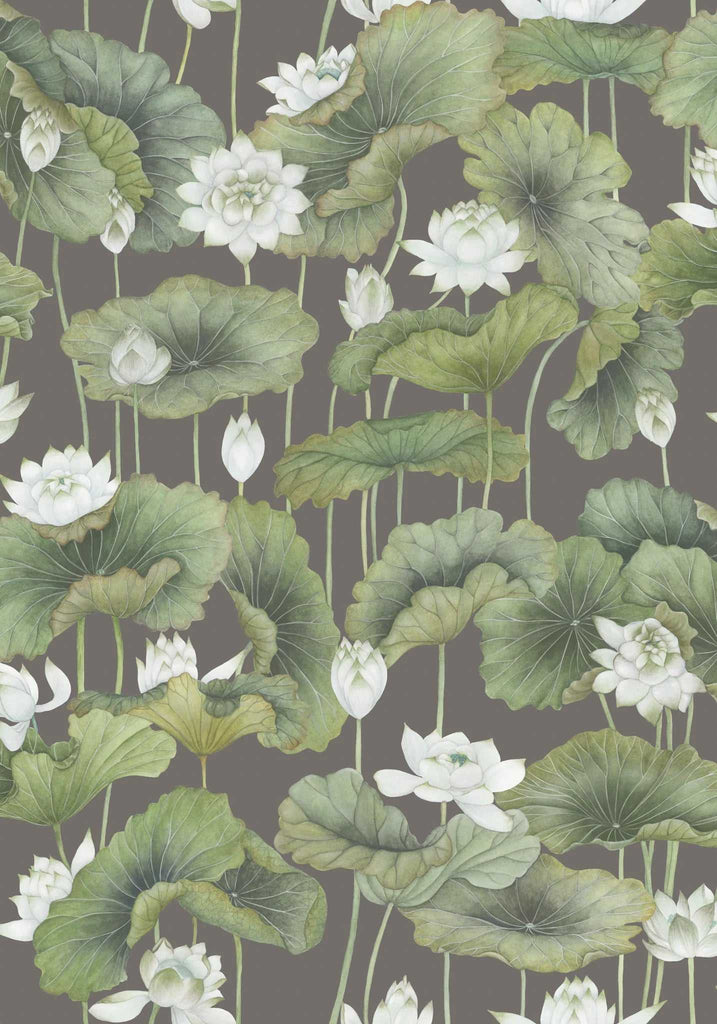 Cole & Son Carta da Parati Lily Lotus Deco Interni