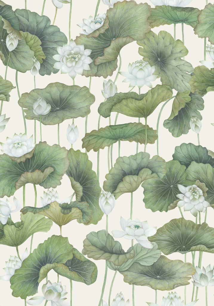 Cole & Son Carta da Parati Lily Lotus Deco Interni