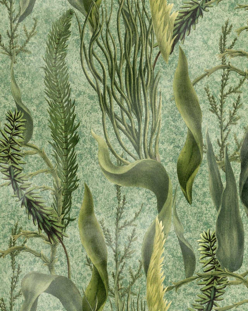 MINDTHEGAP Carta da parati Aquatic Plants Deco Interni