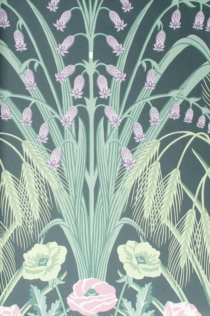 bluebell~hyacinthoides non-scripta notte