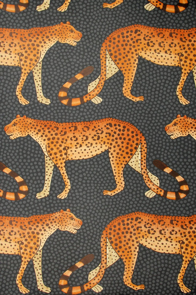 leopard walk original
