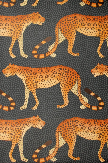 leopard walk original