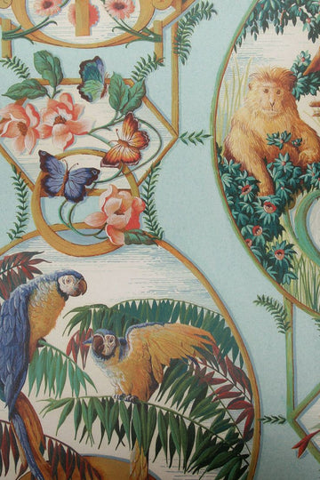 singes et perroquets exotique