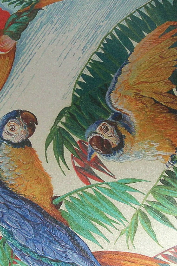 singes et perroquets